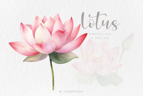Download Pink Lotus Flower PNG Watercolor Bundle - Flower png Collection