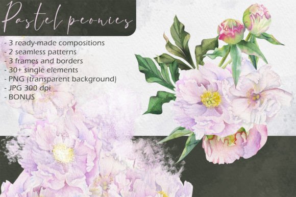 Download Pastel Peonies - Premium Resources